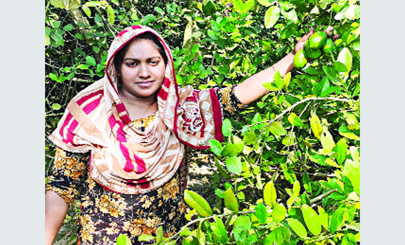 পতিত জমিতেই মনীষার 'টাকার গাছ