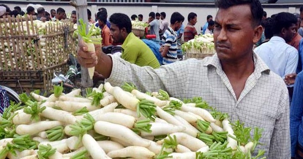 বগুড়ার বিষমুক্ত আলু-ফুলকপি যাচ্ছে বিদেশে, যাবে কচুও