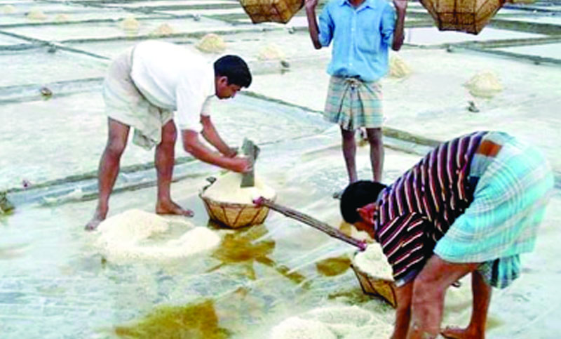 লবণের কৃত্রিম সংকট তৈরি করলে শাস্তি