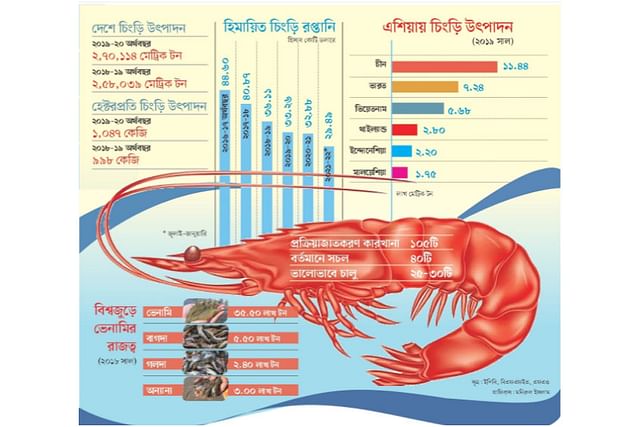 বাংলাদেশের হিমায়িত চিংড়ি রপ্তানি ঘুরে দাঁড়িয়েছে