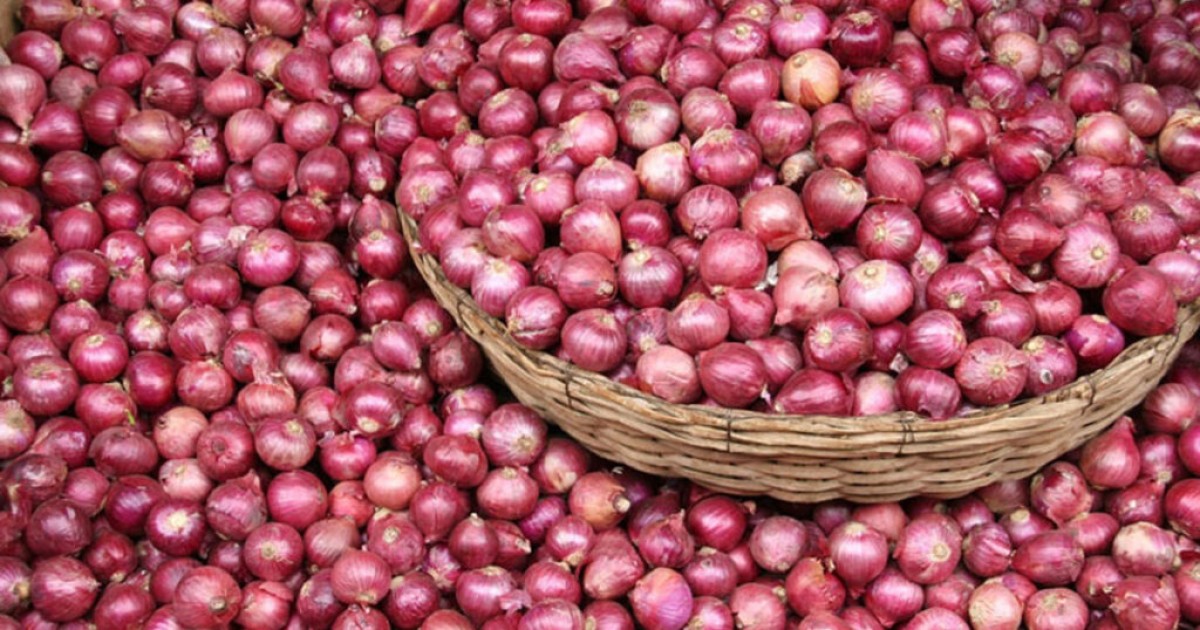 ১০ হাজার টন পেঁয়াজ আমদানির অনুমতি